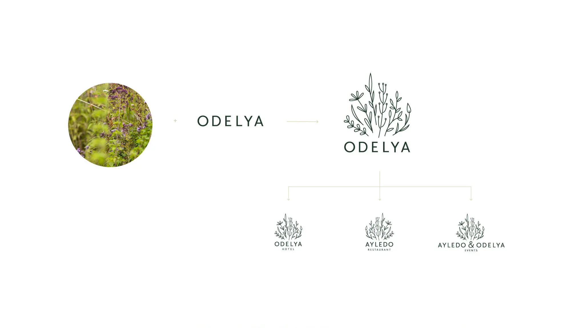 Logo Entwicklung für Hotel ODELYA Branding