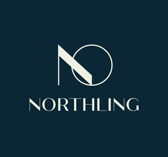 Logo Design für Northling GmbH